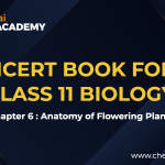 Anatomy of flowering plants NCERT