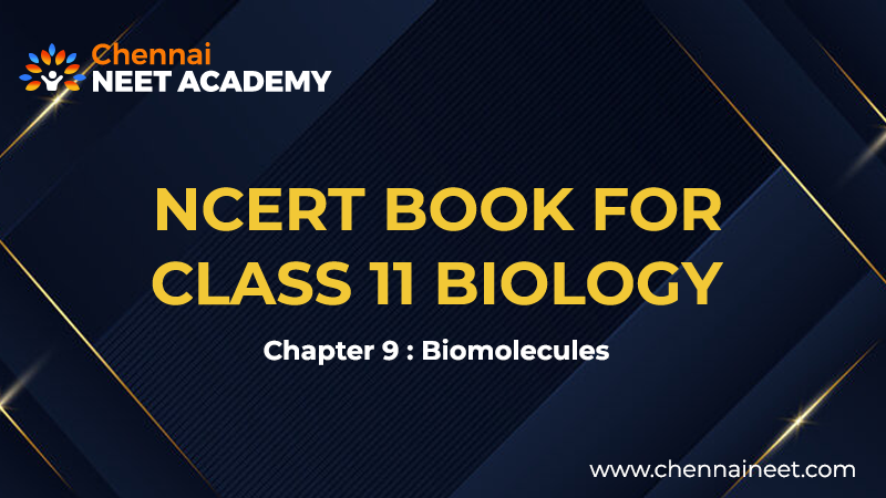 Biomolecules NCERT Biology