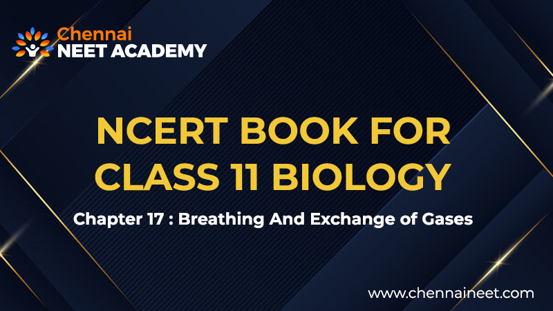 Breathing and Exchange of gases NCERT