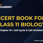 Cell cycle and cell division NCERT