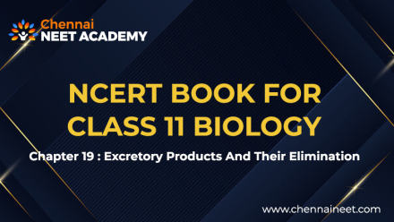 Excretory Products and their Elimination NCERT