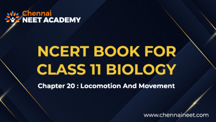 Locomotion and movement NCERT