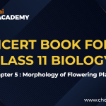 Morphology of flowering plants NCERT