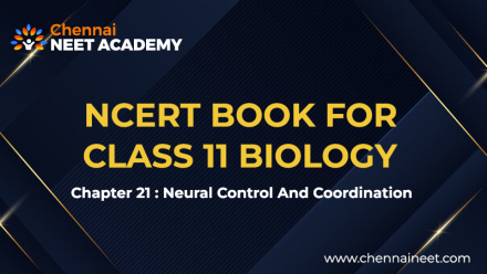 Neural control and coordination NCERT