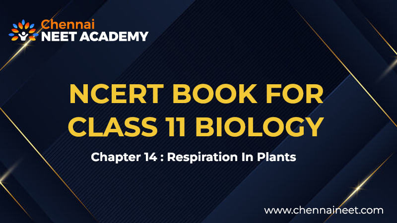 Respiration in Plants NCERT