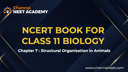 Structural Organisation in Animals ncert