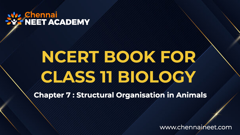 Structural Organisation in Animals ncert