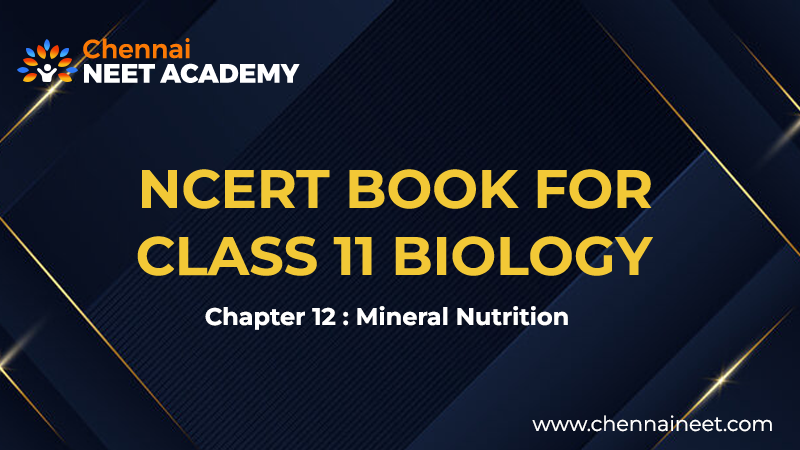 Mineral nutrition NCERT