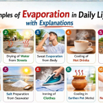 10 Examples of Evaporation in Daily Life with Explanations