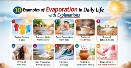 10 Examples of Evaporation in Daily Life with Explanations