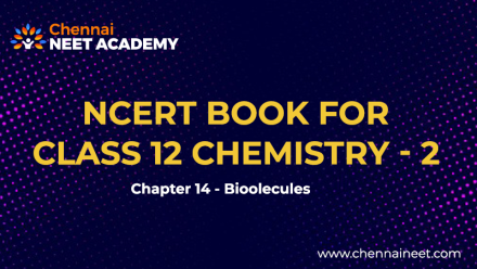 Biomolecules NCERT Class 12