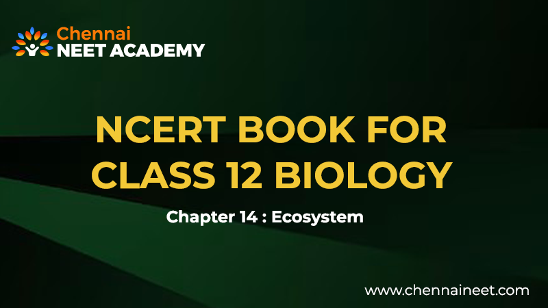 Ecosystem Class 12 NCERT