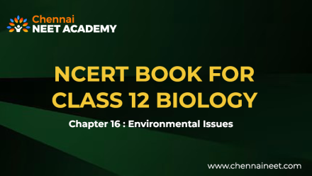 Environmental Issues NCERT