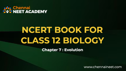 Evolution chapter Class 12 NCERT
