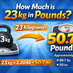 How much is 23- kg in pounds