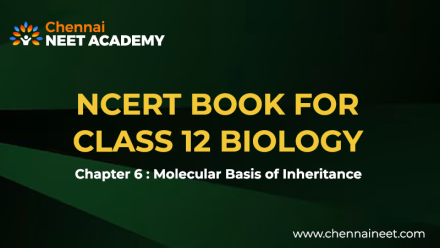 Molecular basis of inheritance NCERT