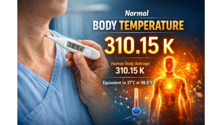 Normal Temperature of Human Body in Kelvin