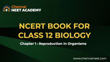Reproduction in Organisms Class 12 NCERT