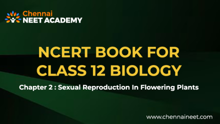 Sexual Reproduction in Flowering plants NCERT