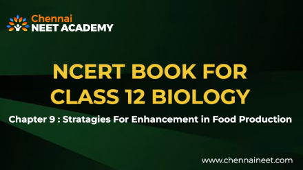 Stratagies of Enhancement in Food Production