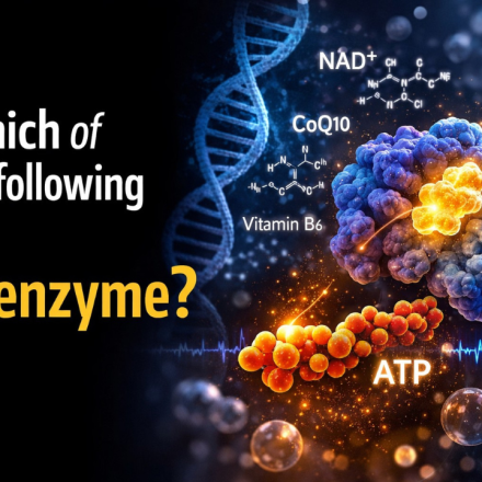 Which of the following is a Coenzyme