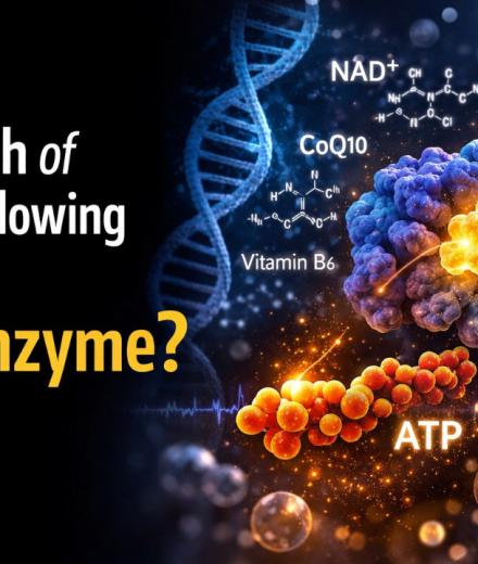 Which of the following is a Coenzyme