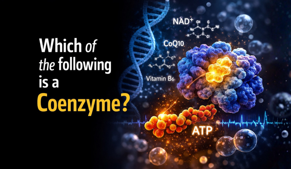 Which of the following is a Coenzyme